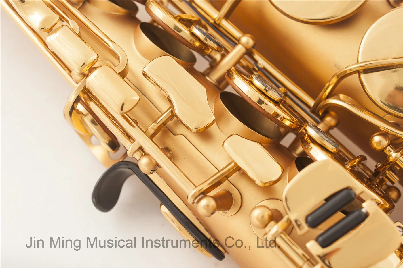 Professional Alto Saxophone, Gold Plated Pisoni Pads Sax