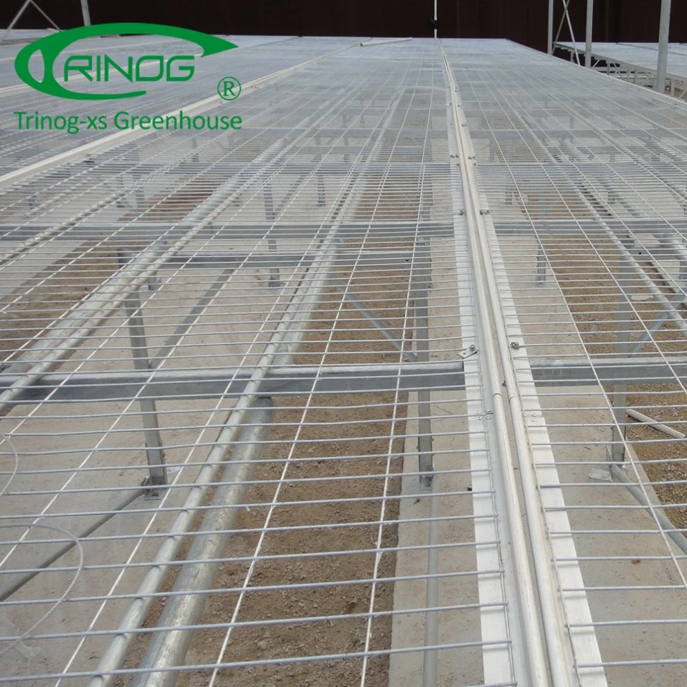 Trinog Greenhouse multispan net seeding bench plastic film Greenhouse for propagation