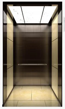 Hot Sale Passenger Elevator Luxury Villa Lift with Marble Cabin and Floor