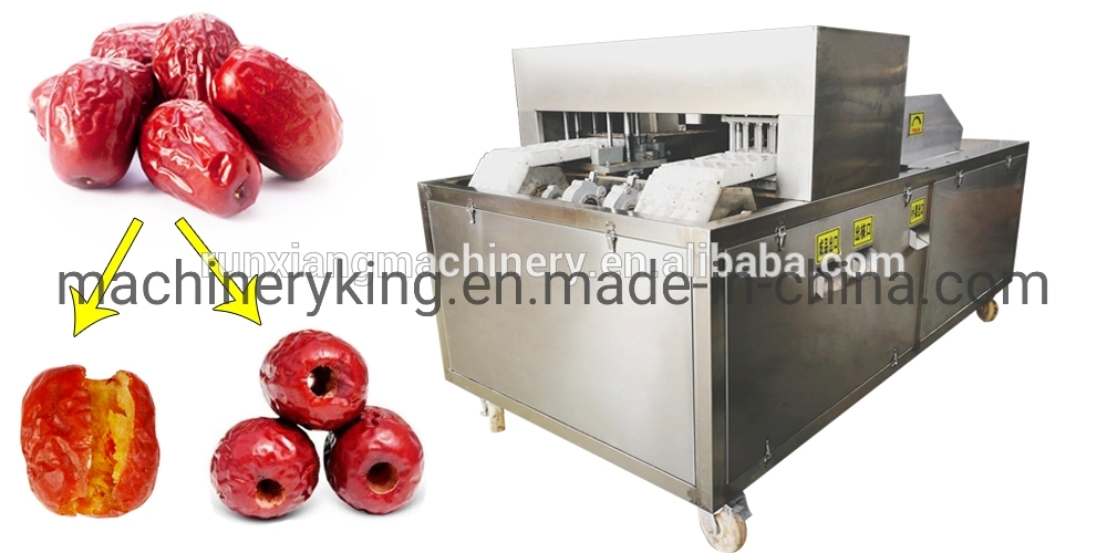 New Type High Efficiency Date Berry Apricot Kiwi Dried Fruit Cube Cutting Machine