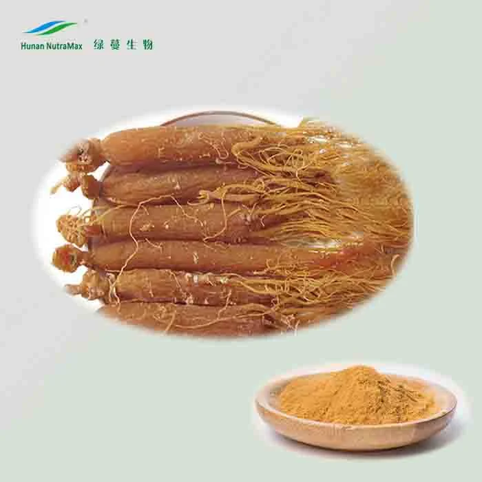 Extrato de Ginseng vermelho da Coreia pura com Ginsenosides 10%