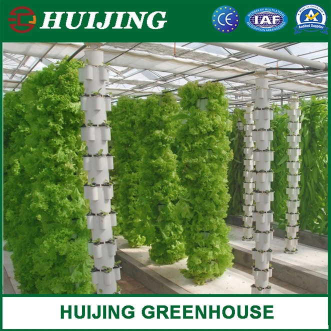 Huijing Greenhouse Vertical Hydroponics System for Hot Sale