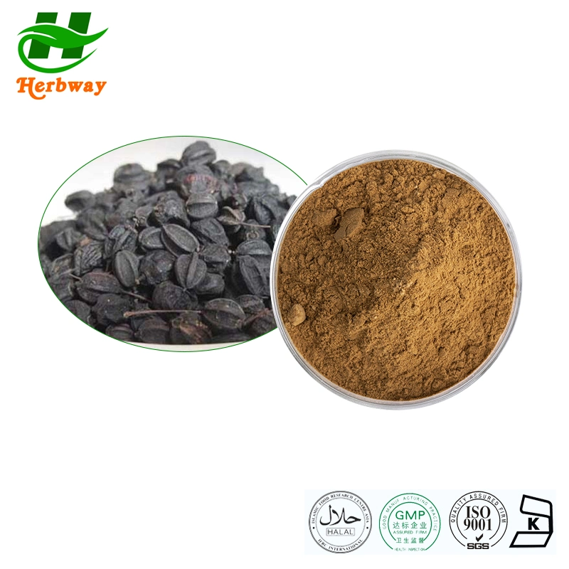 Herbway Siberian Ginseng Root Extract Eleutherosides B + E Nutraceutical Food Plant Extract