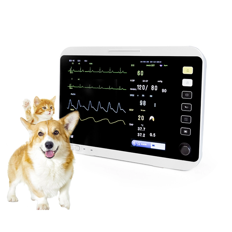 YJ-V12 moniteur vétérinaire multi-paramètres pour animaux à stabilité élevée