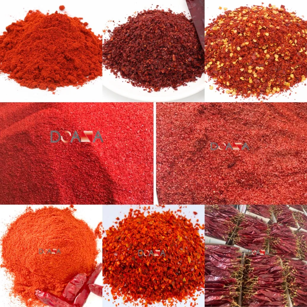 Paprika Chilli Factory Supply Red Paprika Powder Dried Chili Peppers