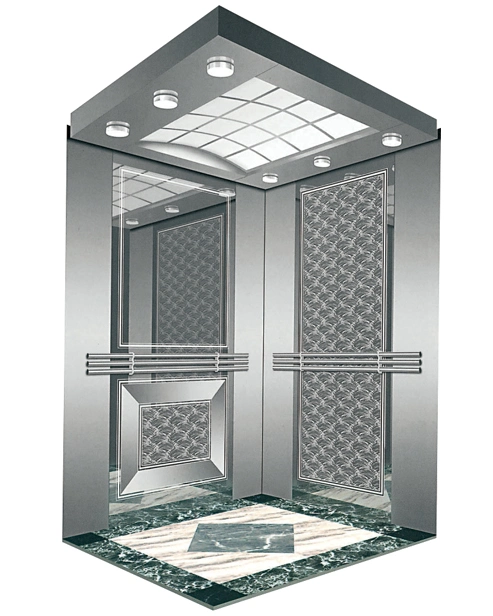 Professional Passenger Elevator with Advanced Technology