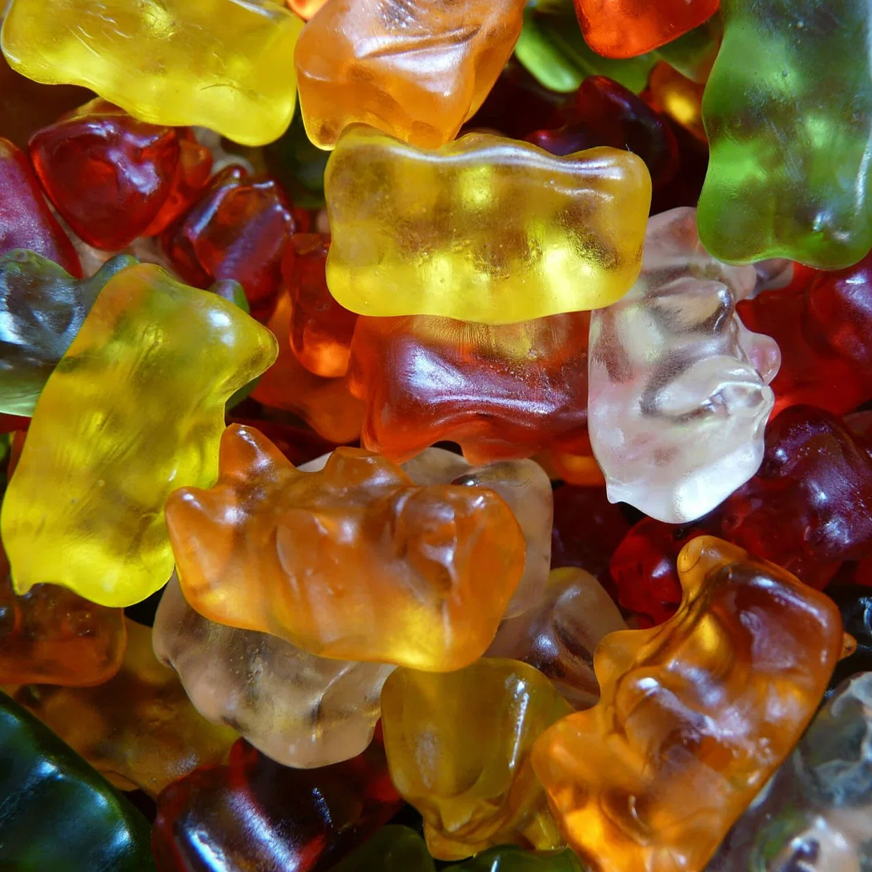 Hochwertige Gelatine Food Gelatine (100 Blüte-260 Blüte)