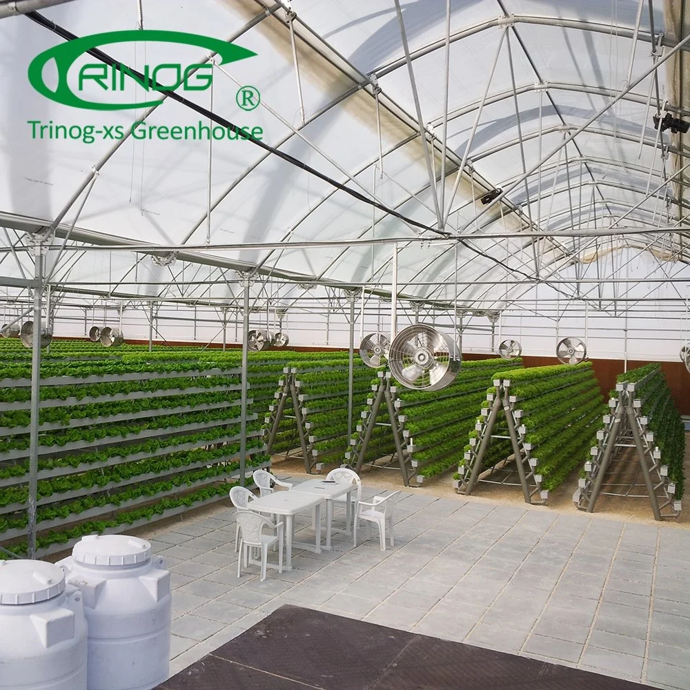 Plastic Film Cover Cultivation Hydroponics System Green House for Flowers and Vegetables