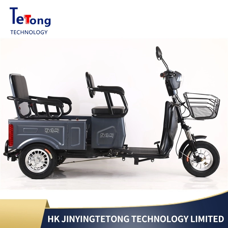 Newest Passenger Handicapped Adult Electric 3 Wheel Bicycle Three Electric Scooter Gas Motor Trike Cargo Bike Motorcycle Scooter Tricycle Family with Children