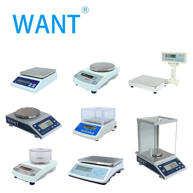 10g Accuracy and 110V/220V Power Supply Weighing Scales