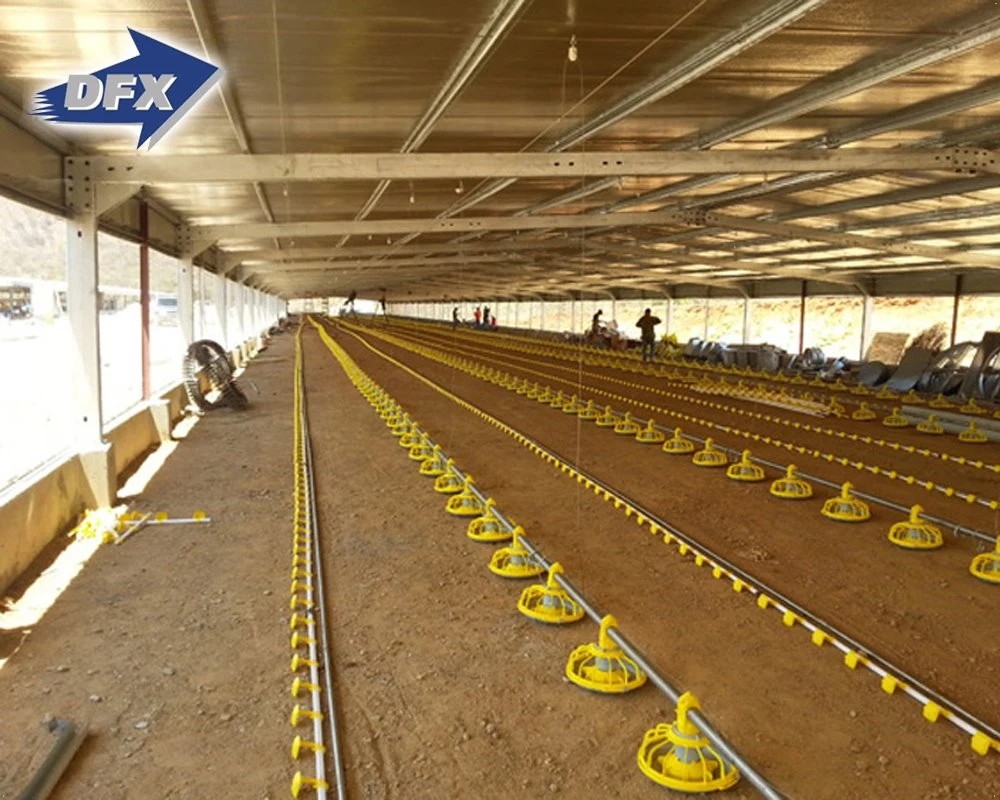 Light Steel Frame Huhn Geflügel Farm zum Verkauf Großhändler in Malaysia