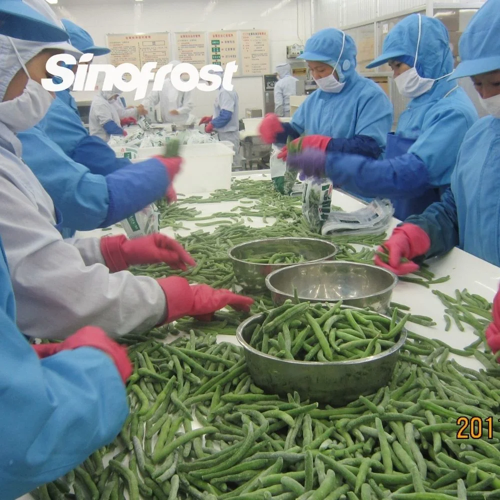 Wholesale Manufacturer&Supplier of Premium IQF Frozen Whole Green Beans