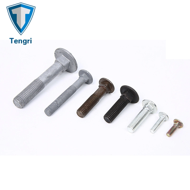 Carriage Bolt Mushroom Round Short Square Neck Head Bolt Coach Bolt Hex Bolt T Bolt U Bolt Toggle Bolt Anchor Bolt Screw Bolt Railway Bolts Lag Bolt in Stock