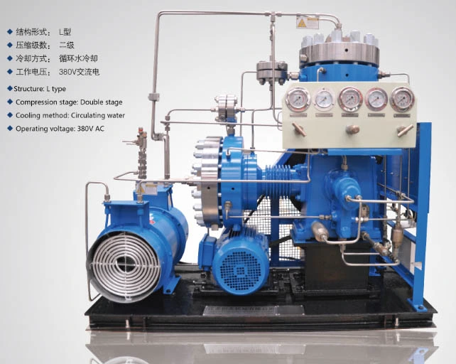 Gl-20/12-160 Oil-Free High Pressure Nature Gas Diaphragm Compressor Factory Supplier