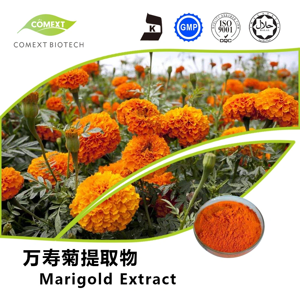 Comext Factory Price Promotion Herbal Extract Food Grade Zeaxanthin Water Soluble Lutein 5%-80% Phytoxanthin Extract Marigold Extract