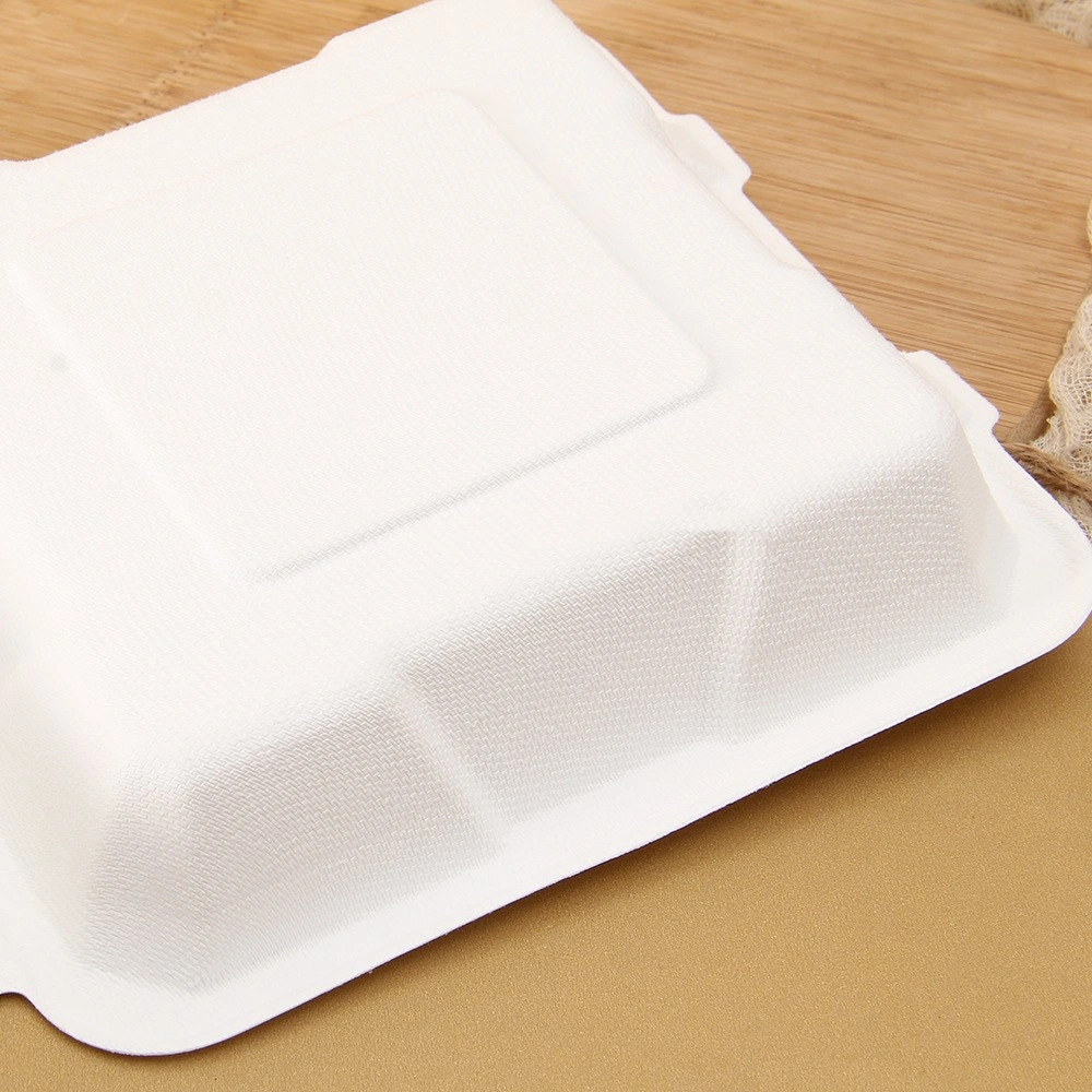 Hot Sale Food Container More Rigid Disposable Tableware for You Want