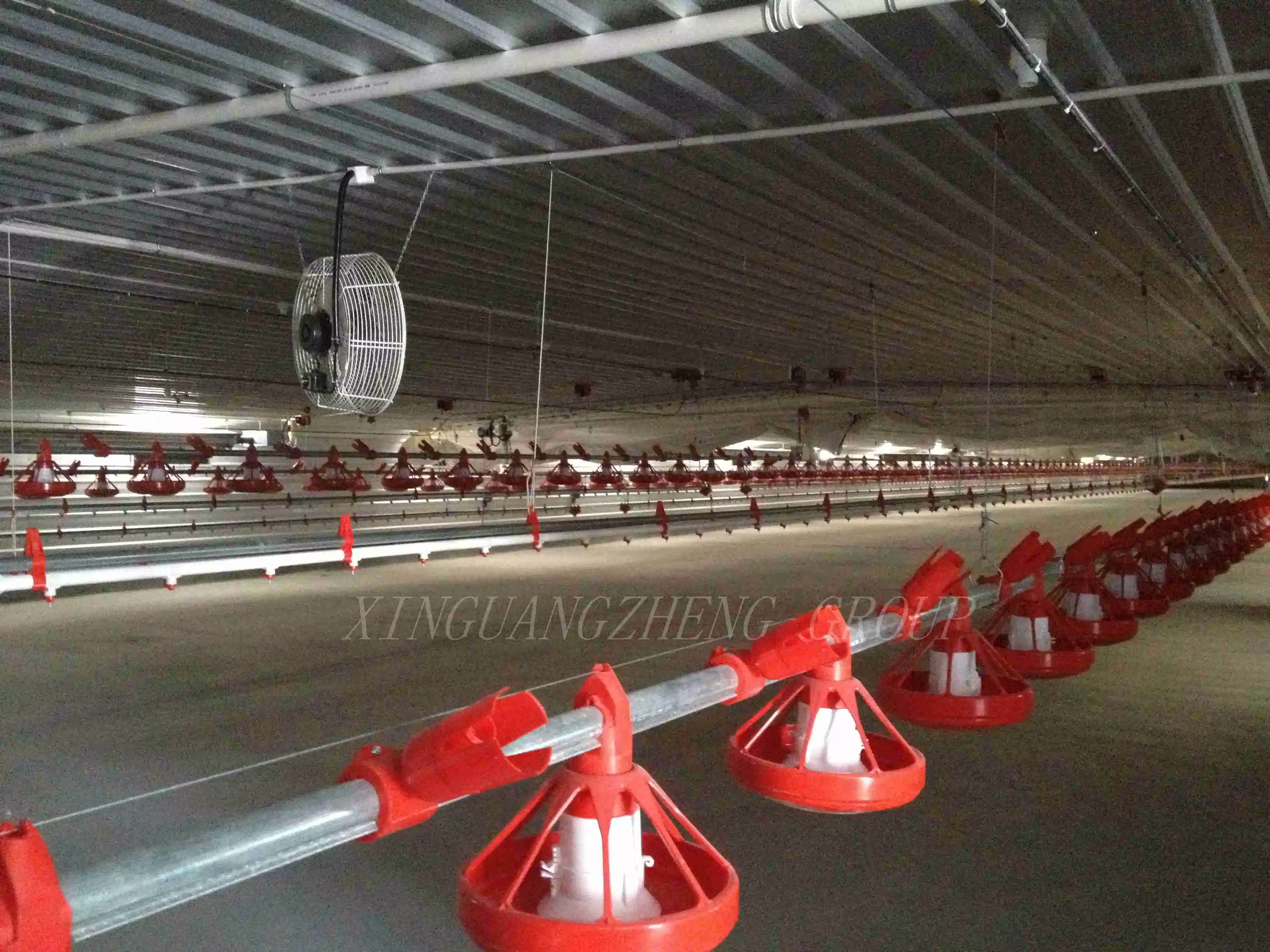 Prefabricated Light Weight Steel Structure Frame Livestock Poultry Chicken Farm