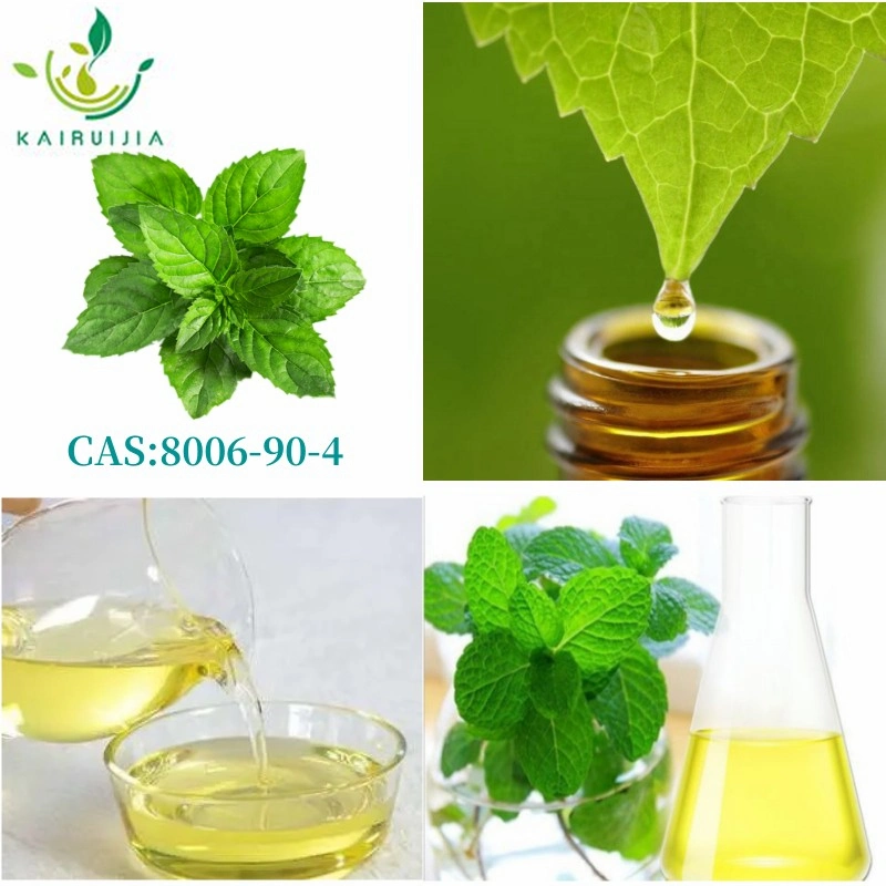 Óleo natural da hortelã/óleo vegetal/óleo de menta CAS 8006-90-4