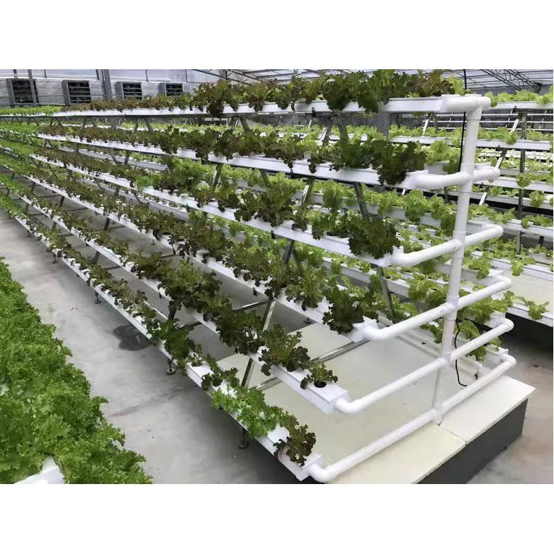 Landwirtschaftliche Hydroponics System PVC NFT Kanal Rohr Vertikal A Typ Salat Blatt Gemüse Anbauen