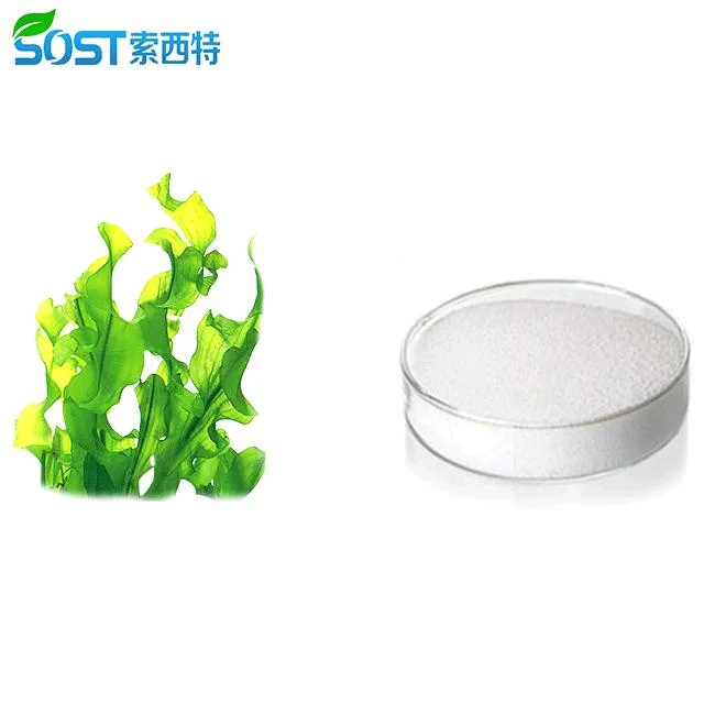 SOST Bulk Competitive Price Food Grade Sodium Alginate Powder