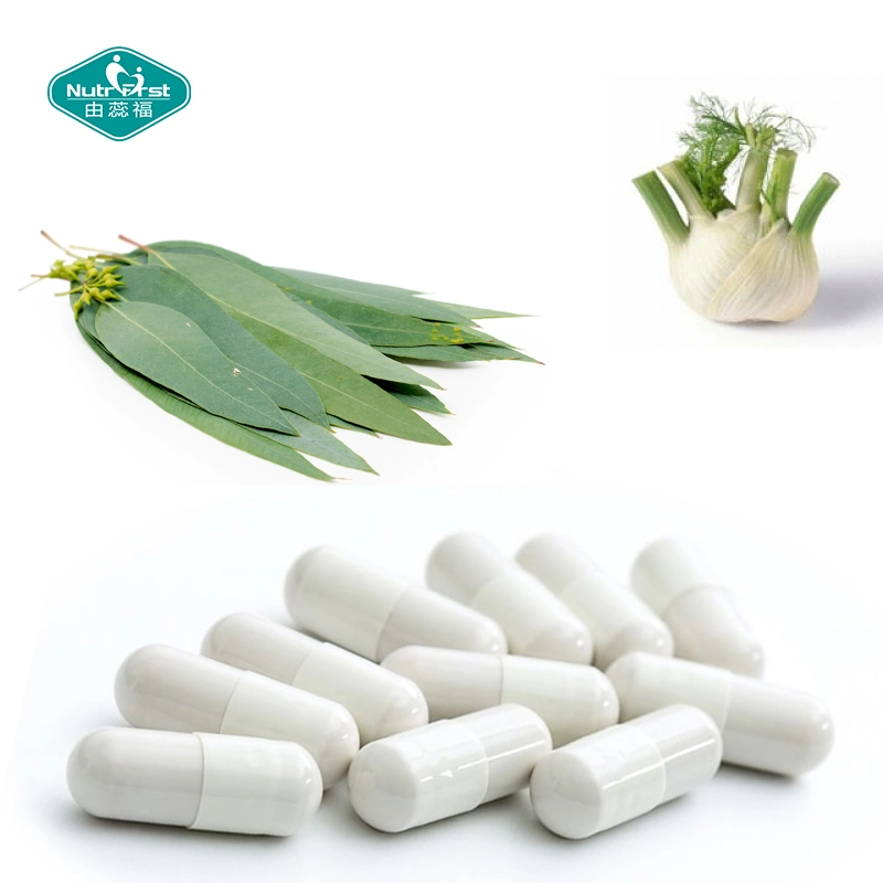 Private Label Respiratory Tract Supplement Fennel Fruit Licorice Eucalyptus Leaf Vegan Capsule