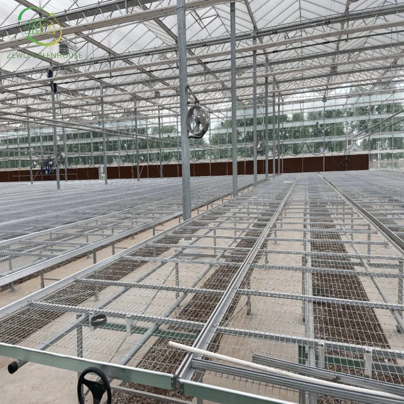 Estructura personalizada de tubería de acero galvanizado en caliente Multispan Glass Green House Con semillero para Fresa/Flores/Verduras