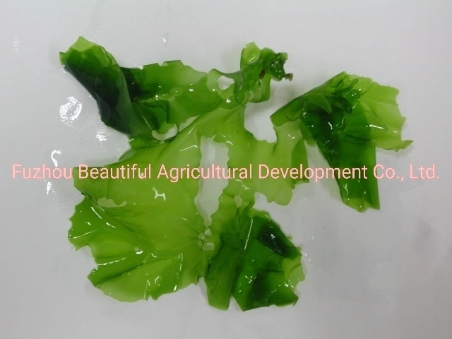 Natural Food Additives Green Color Dried Aosa Seaweed Flakes for Snacks