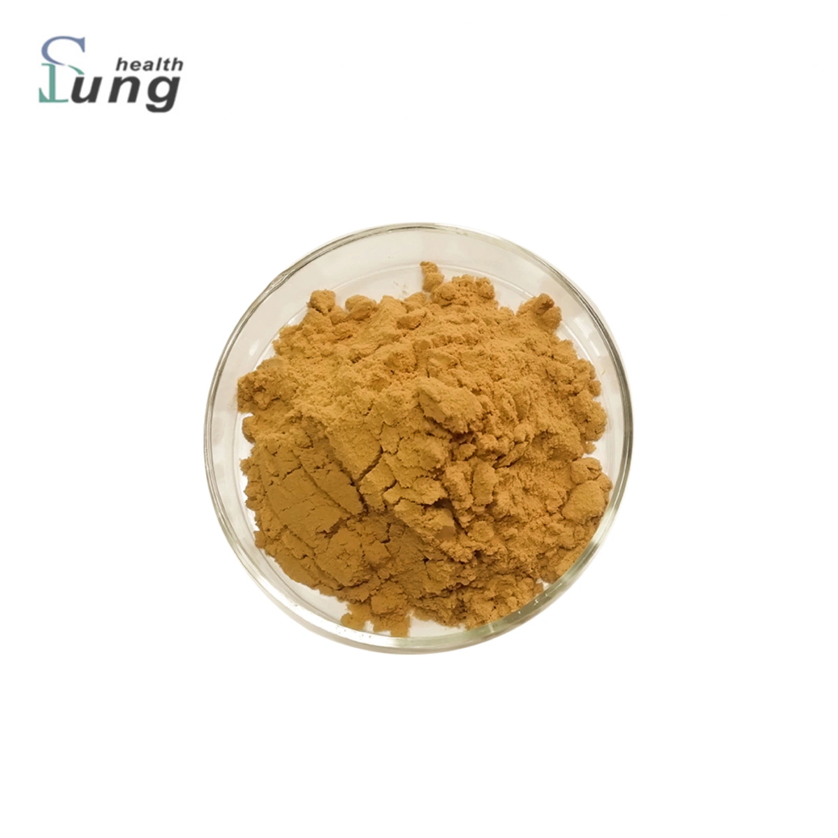 Plant Extract Garcinia Cambogia Extract Weight Loss Garcinia Cambogia Extract Powder Cambogia Powder Extract