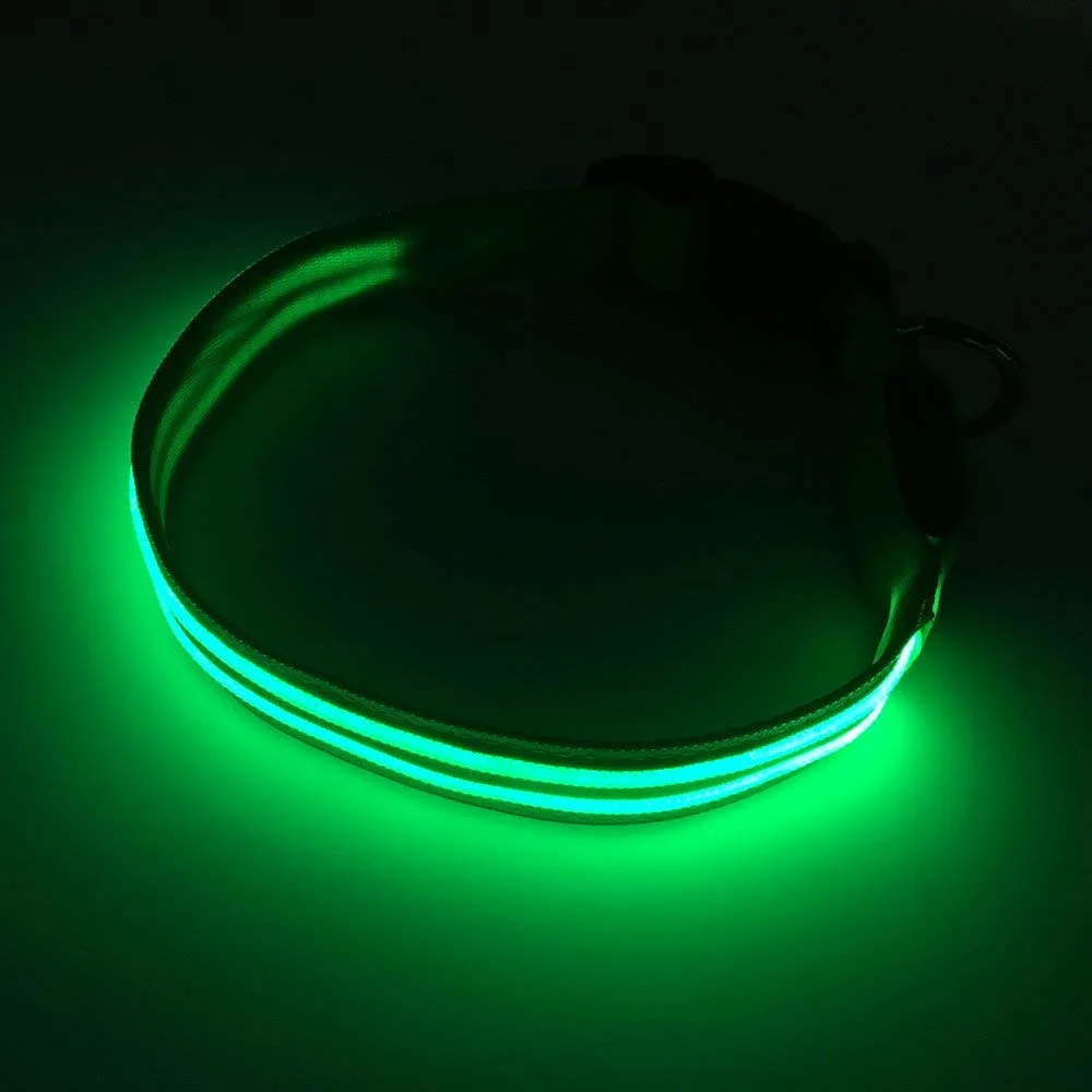 New Factory Wholesale/Supplier LED Pet Collar Rechargeable