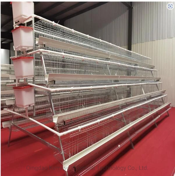 Geflügelfarm Ausrüstung Broiler / Layer Zucht Multi-Layer Chicken Cage