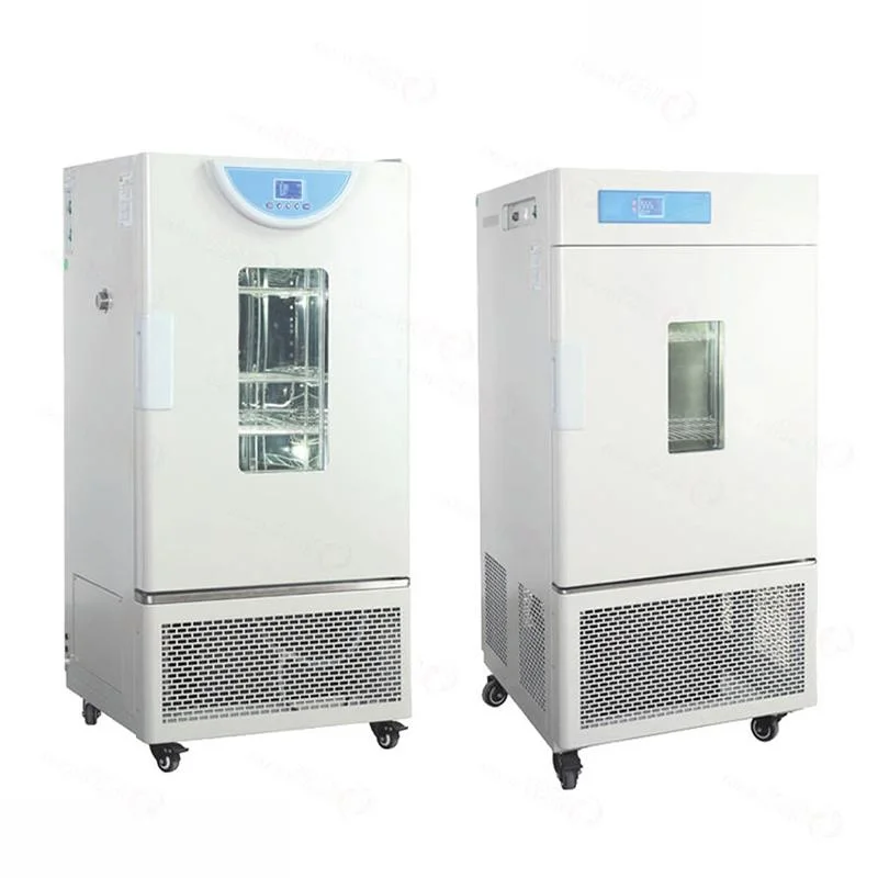 Cheap Price Laboratory Microbial Culture Low Temperature Incubator Cooling Incubator