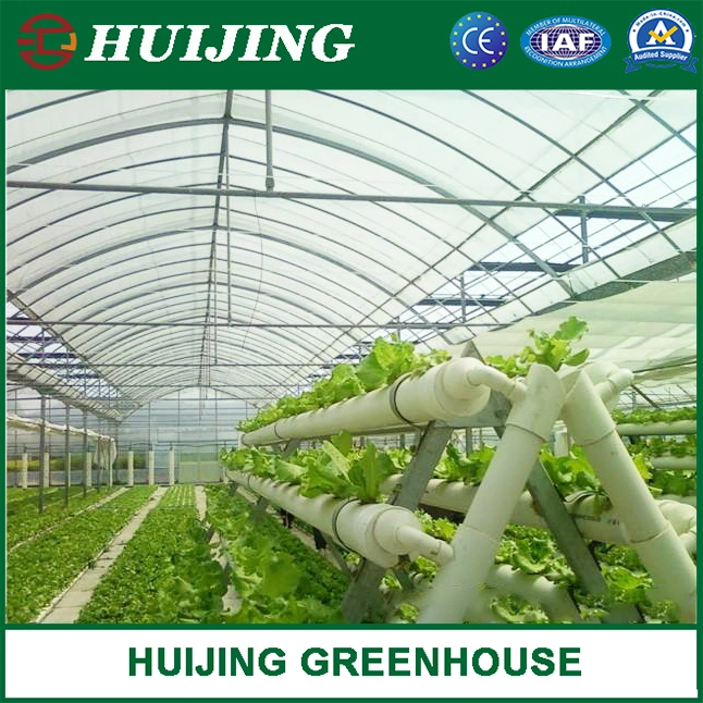 Agricultural Planting Poly Film Multi-Span Greenhouse for Sale