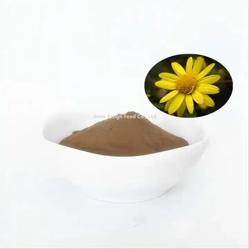 El Crisantemo Mayorista/Proveedor de Té de Flor seca en polvo soluble en agua 100% de la extracción de plantas naturales marrón fino polvo amarillo