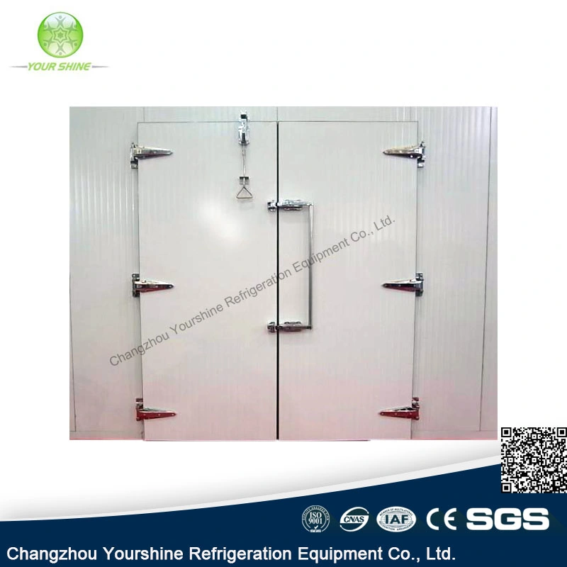 SGS Approved High Quality Fly-Back Door for Cold Room/Cold Storage