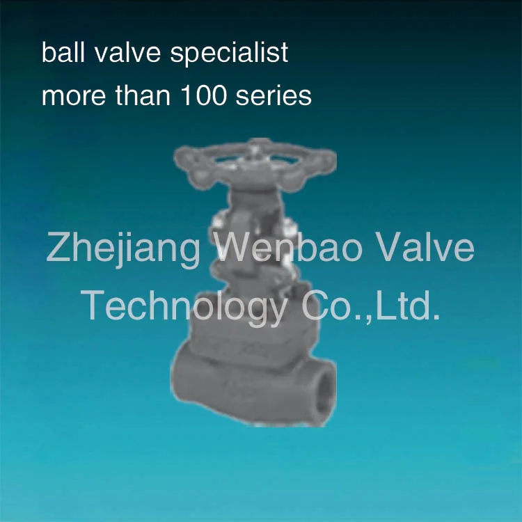 Stainless Steel/Carbon Steel/A105/FL2/F11/F22/F5/F304/F316/F321 Flange & Thread & Butt Weld & Socket Weld Forged Steel Check Globe Gate Valve Manufactrer