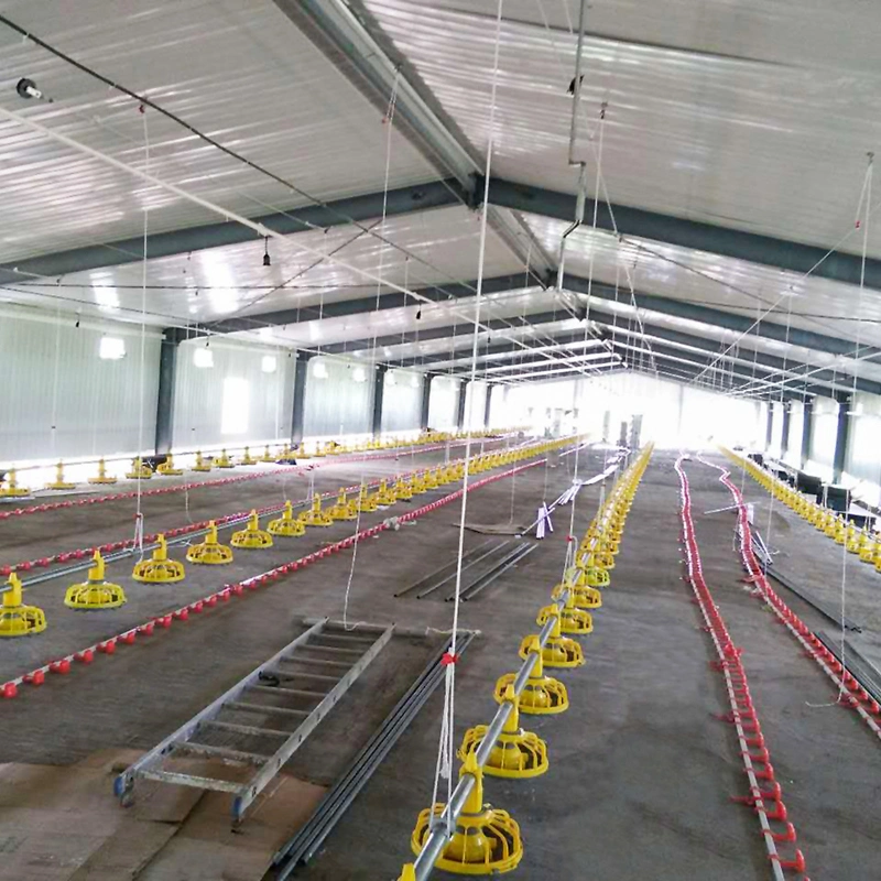 Large Span Prefab Steel Structure Poultry Farm Shed for Broiler Fatten Chicken Poultry House