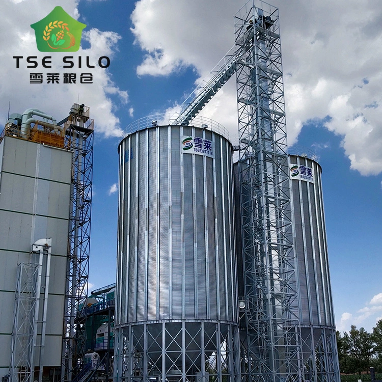 Full Automatic Hot Galvanized 51ton Steel Silo for Animal Food with Cone Bottom