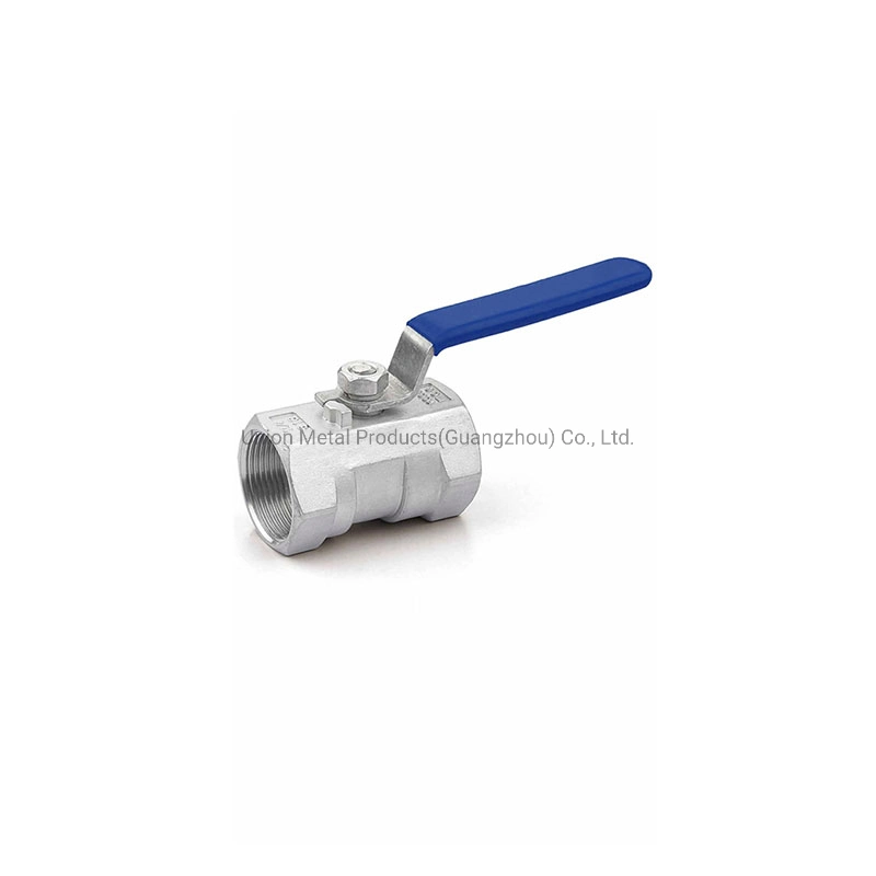 Stainess Steel Pipe Fitting SS304 SS316 Lift Check Valve