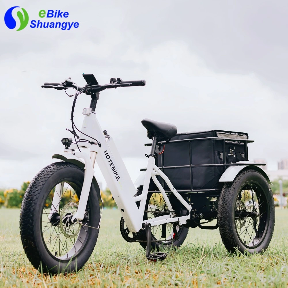 Factory Custom Electric Tricycles 20inch Fat Tire Three Wheel Electric Bike Trike for Sale