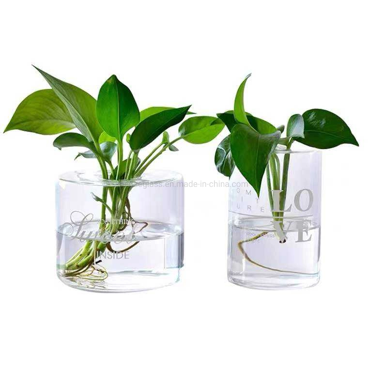 Difusor de aromaterapia de aceite intenso en cilindro transparente hecho a mano con vaso de vidrio para plantas y flores.