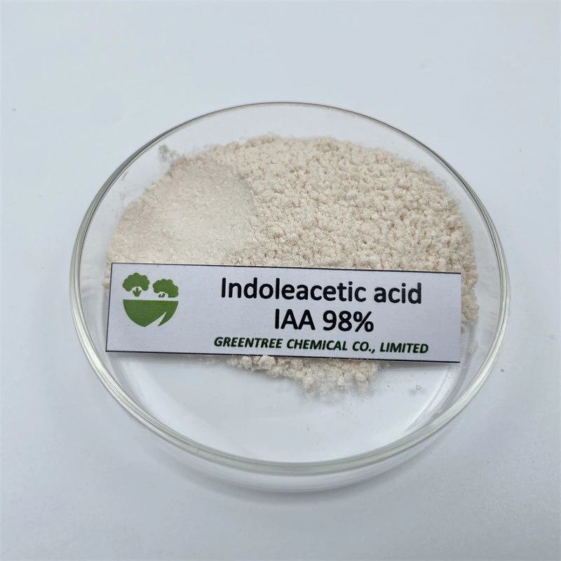Polvo de ácido Indoleacético Premium 98% TC IAA Regulador de planta CAS87-51-4