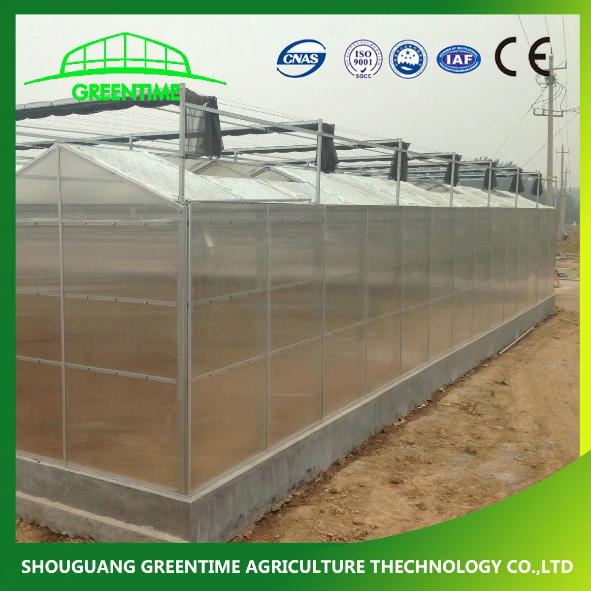 Strong Structure Galvanized Venlo Greenhouse with Cooling/Hydroponic System