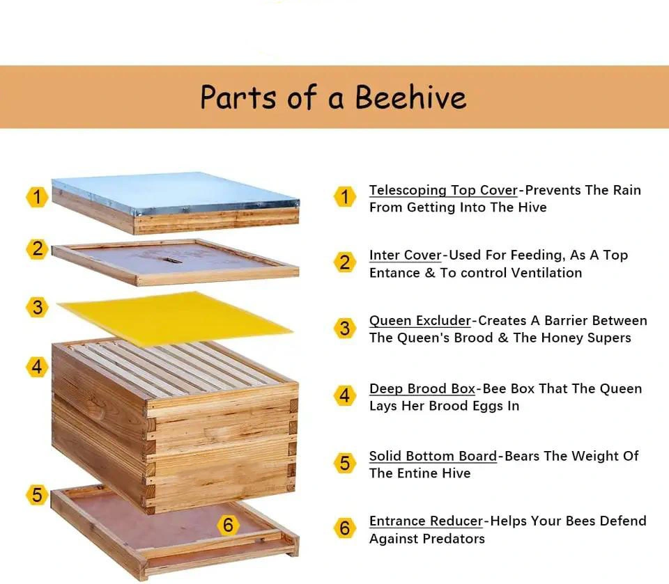 Beehive Box Beekeeping Equipment Beekeeper Start Kit