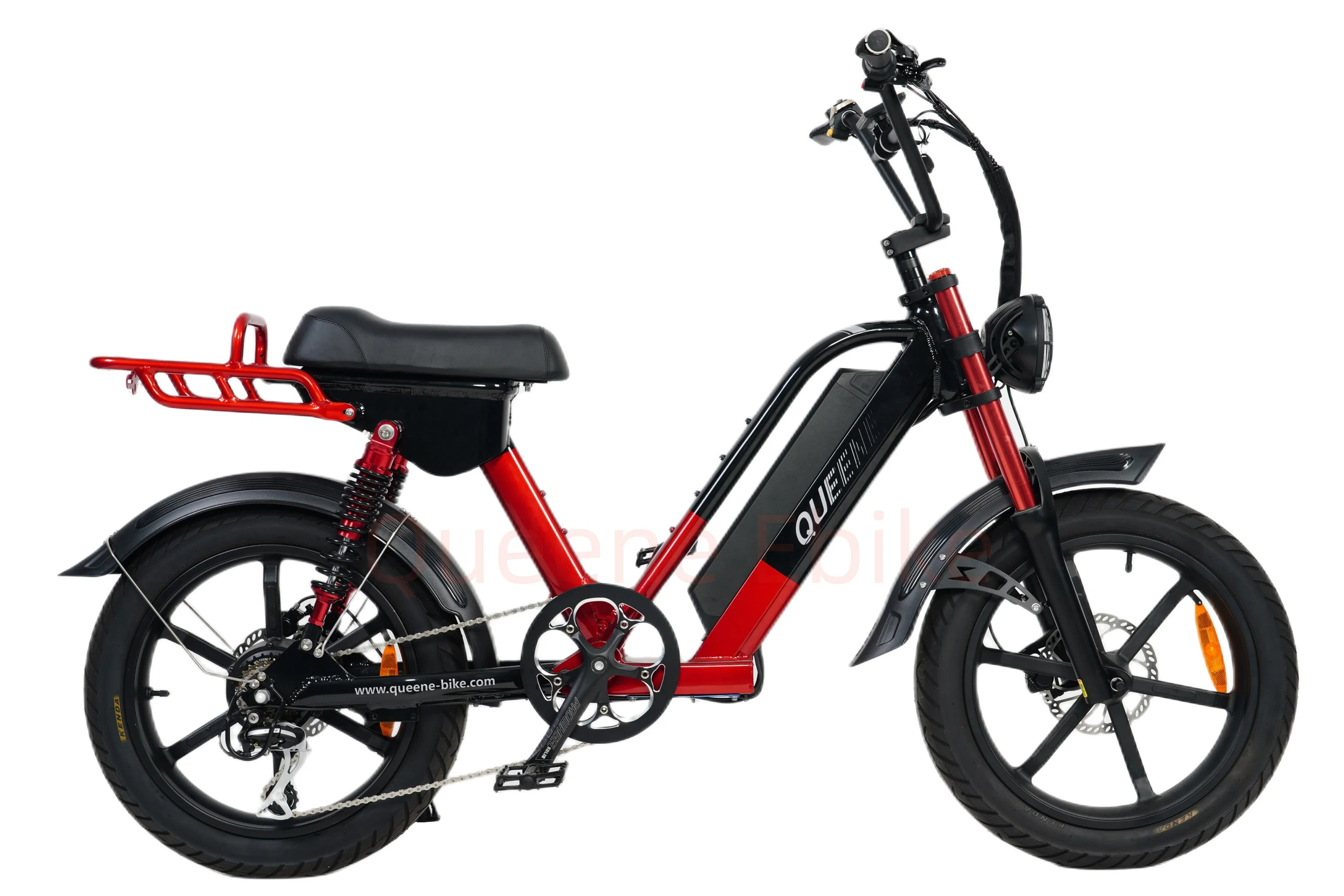 2023 Queene New Electric Dirt Bike Full Suspension Ebike Retro Electric Bike E Bicycle