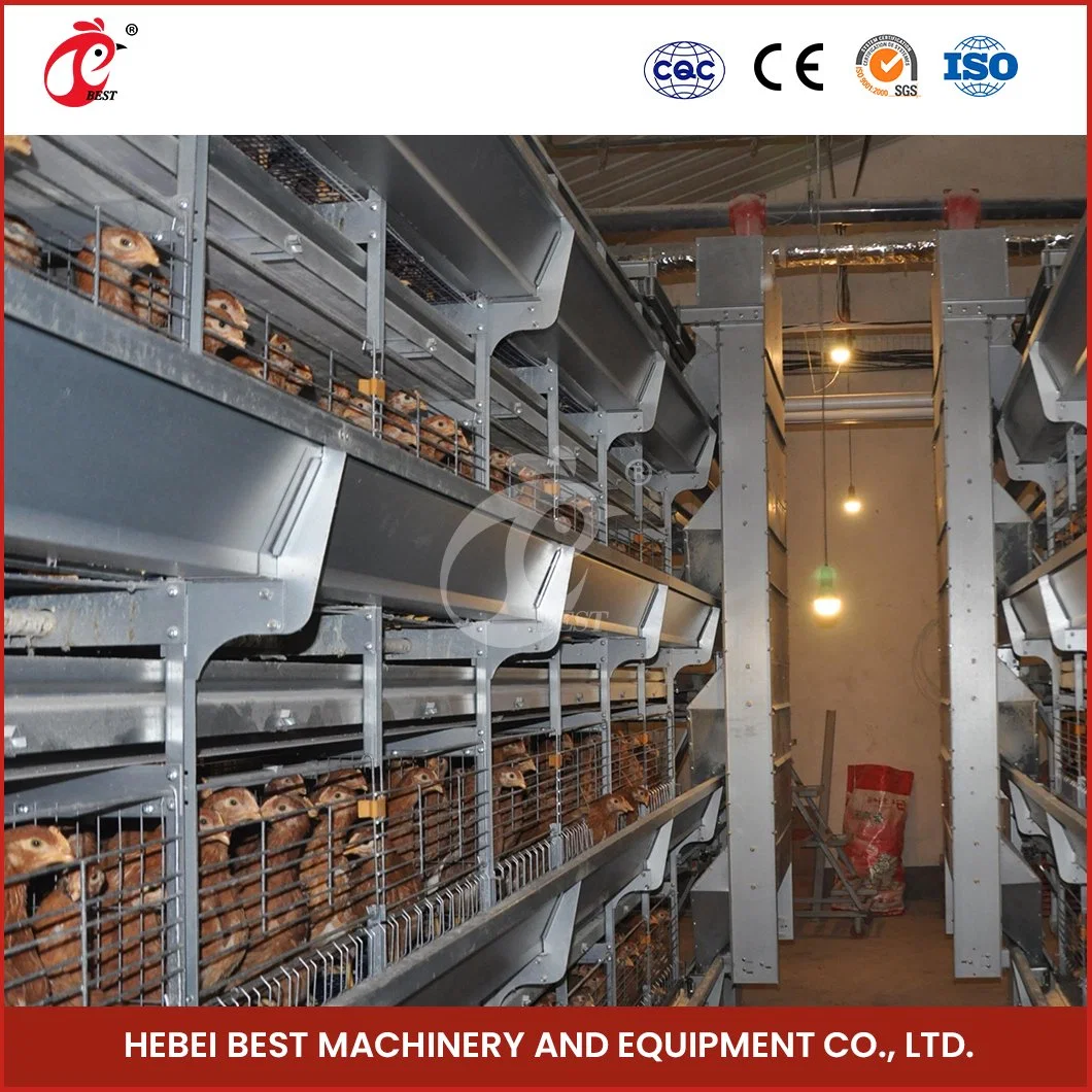 Bestchickencage H Frame Broiler Cages China Poultry Cage Manufacturing Steel Material Industrial Broiler Chicken Cage