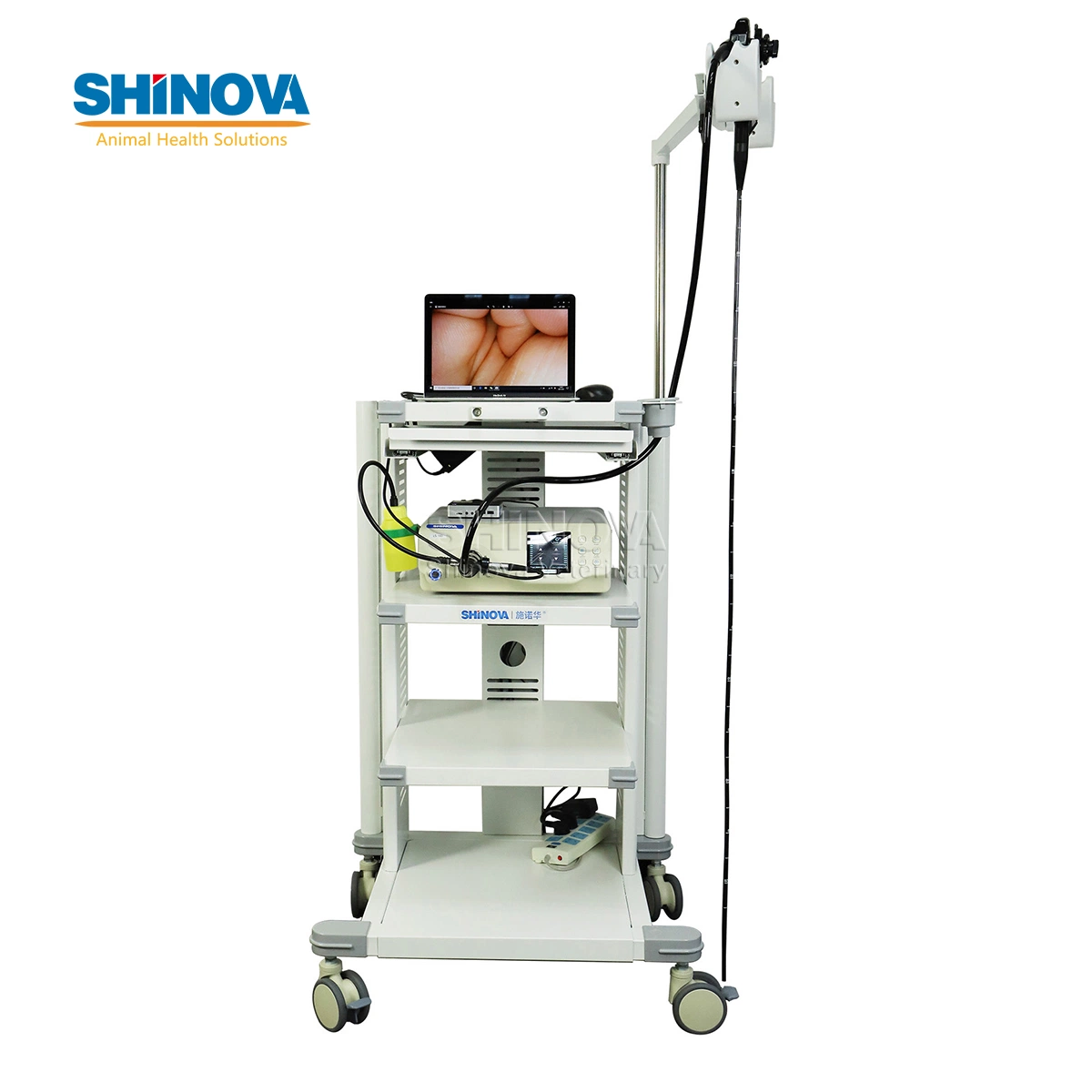 Shinova 8.0mm Diameter 1500mm Working Length High-Definition Flexible Endoscope Veterinary Video Endoscope Veterinary Gastroscope (HiScope 80) Four Direction