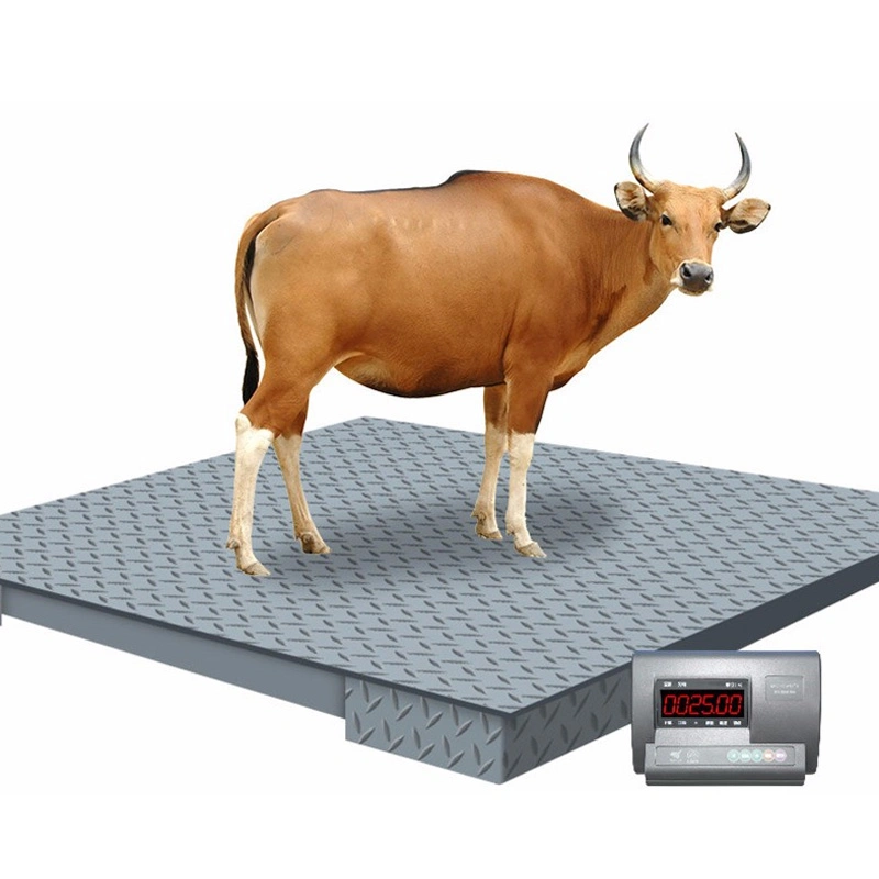 Ls-1 1000kg 1.2*1.2m Balance électronique pour peser les animaux au sol