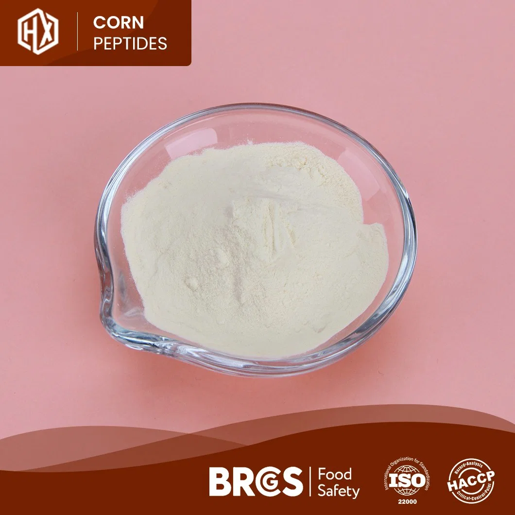 Haoxiang China Manufacturer Supply Organic Corn Protein Peptide Meal 46% 48% 50% Cornbean Protein Fiber Isolate Concentrate Powder Bulk High Purity Corn Peptide