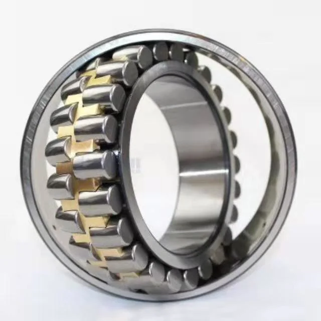 Double Row Cylindrical Roller Bearing/Nn3022K/P491W33/Rolling Bearing Made in China