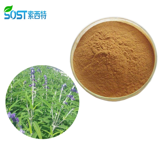 Private Label Loss Weight Coleus Forskohlii Extract Powder Forskolin